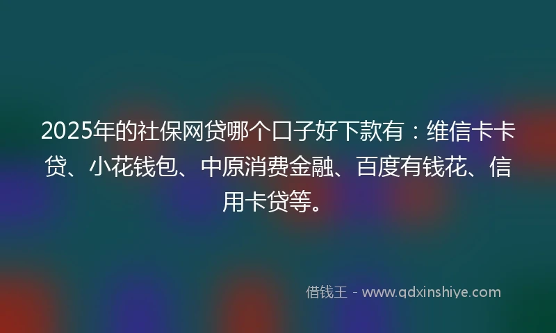 2025年的社保网贷哪个口子好下款有：维信卡卡贷、小花钱包、中原消费金融、百度有钱花、信用卡贷等。