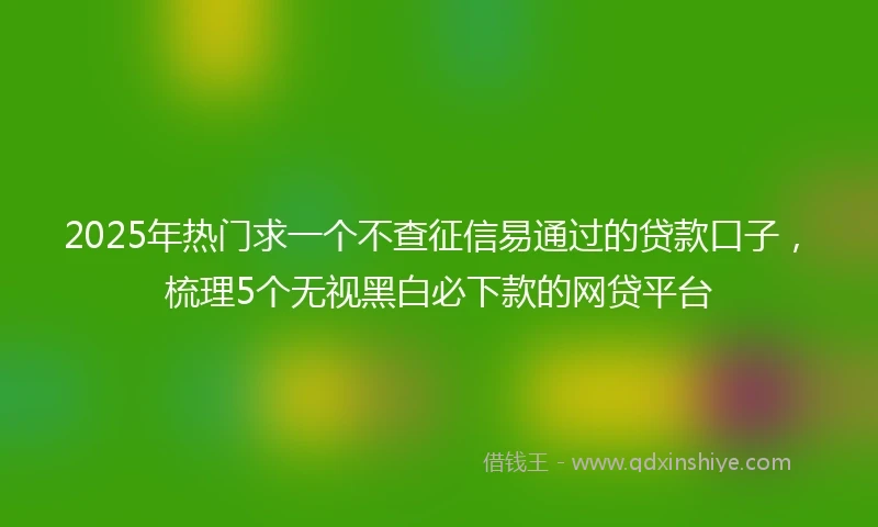 2025年热门求一个不查征信易通过的贷款口子，梳理5个无视黑白必下款的网贷平台