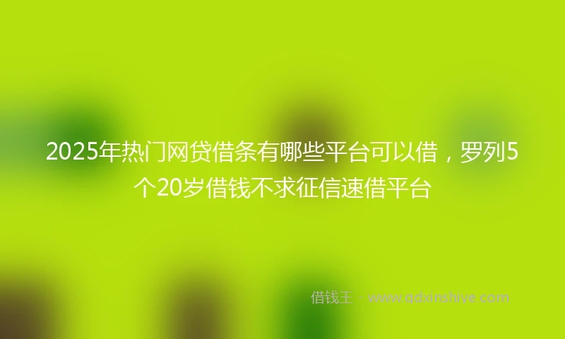 2025年热门网贷借条有哪些平台可以借，罗列5个20岁借钱不求征信速借平台