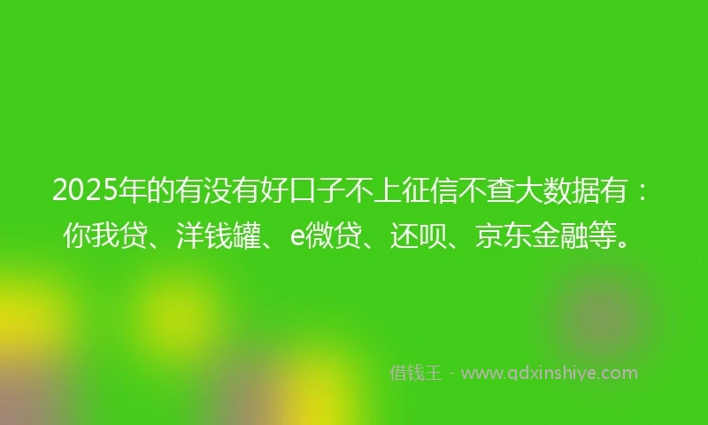2025年的有没有好口子不上征信不查大数据有：你我贷、洋钱罐、e微贷、还呗、京东金融等。