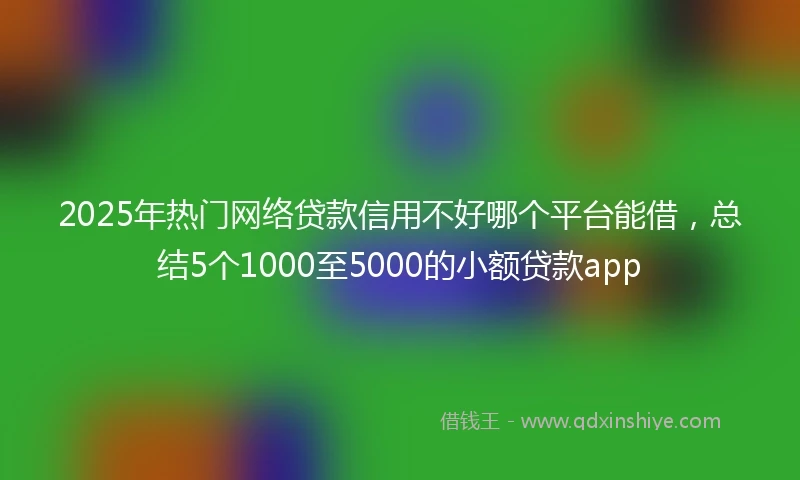 2025年热门网络贷款信用不好哪个平台能借，总结5个1000至5000的小额贷款app