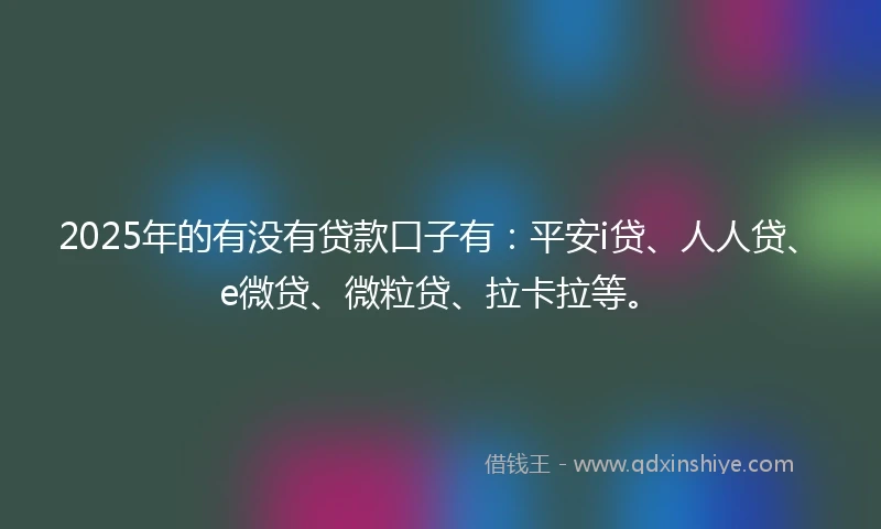 2025年的有没有贷款口子有：平安i贷、人人贷、e微贷、微粒贷、拉卡拉等。