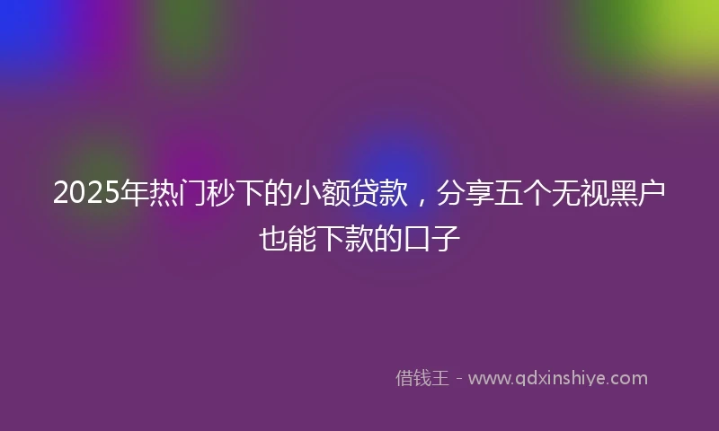 2025年热门秒下的小额贷款，分享五个无视黑户也能下款的口子