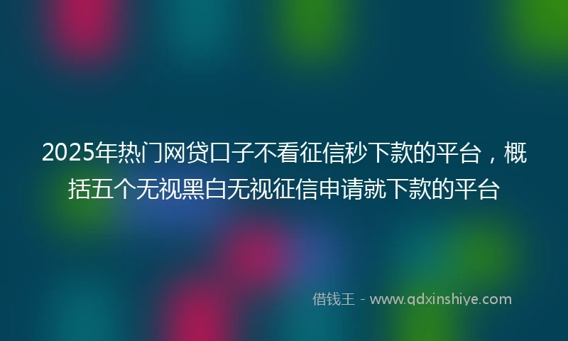2025年热门网贷口子不看征信秒下款的平台，概括五个无视黑白无视征信申请就下款的平台
