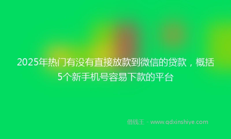 2025年热门有没有直接放款到微信的贷款，概括5个新手机号容易下款的平台