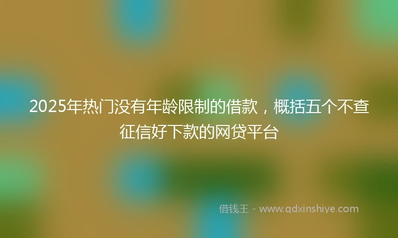 2025年热门没有年龄限制的借款，概括五个不查征信好下款的网贷平台
