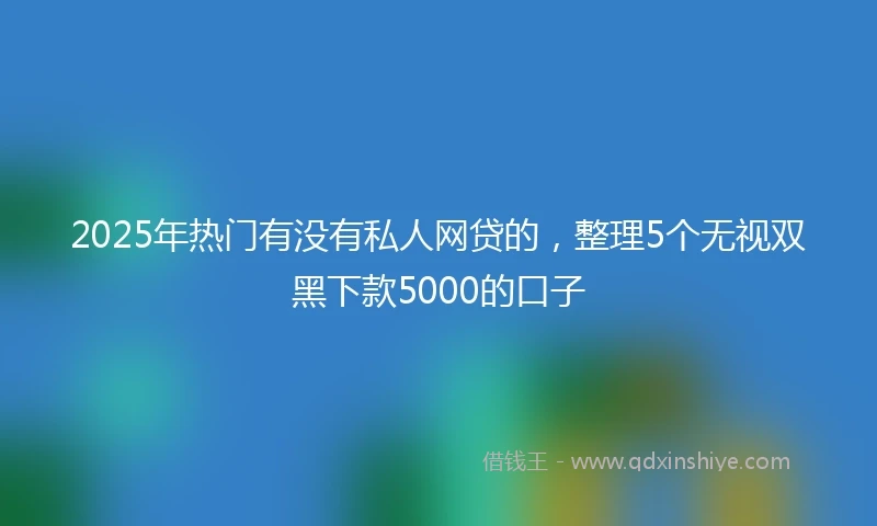 2025年热门有没有私人网贷的，整理5个无视双黑下款5000的口子