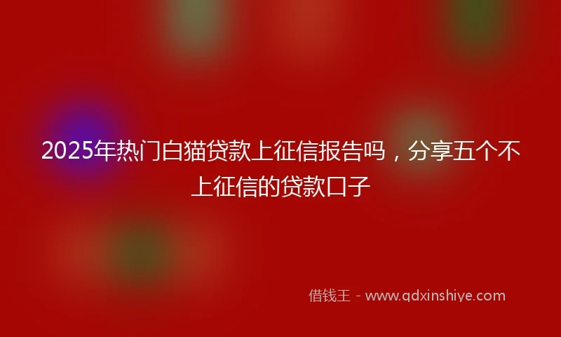 2025年热门白猫贷款上征信报告吗，分享五个不上征信的贷款口子