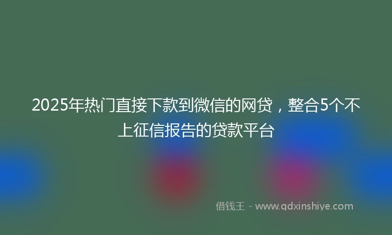 2025年热门直接下款到微信的网贷，整合5个不上征信报告的贷款平台