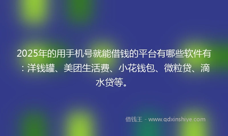 2025年的用手机号就能借钱的平台有哪些软件有：洋钱罐、美团生活费、小花钱包、微粒贷、滴水贷等。