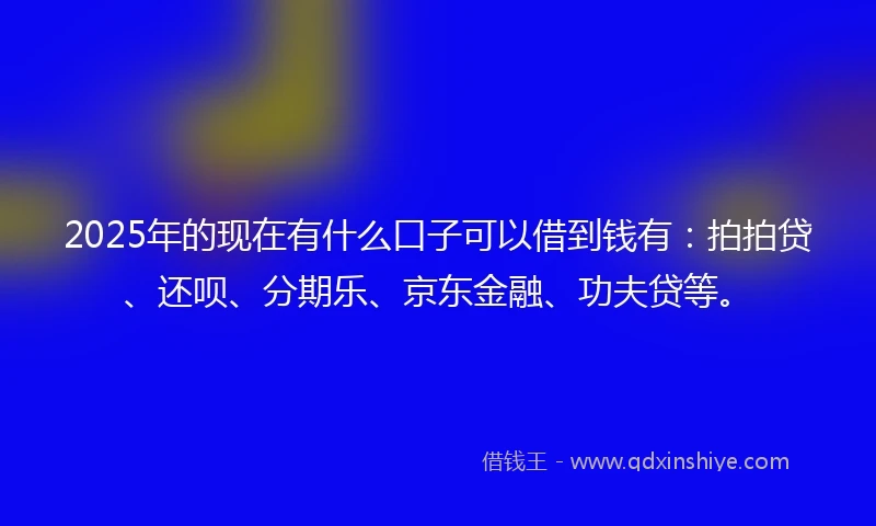 2025年的现在有什么口子可以借到钱有：拍拍贷、还呗、分期乐、京东金融、功夫贷等。