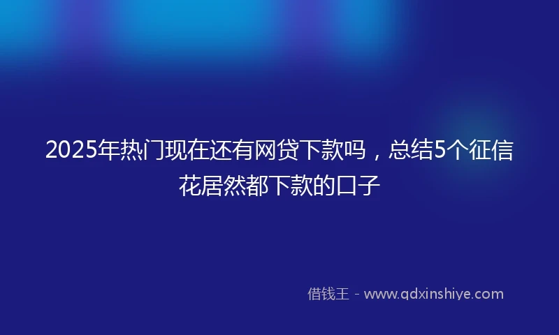 2025年热门现在还有网贷下款吗，总结5个征信花居然都下款的口子