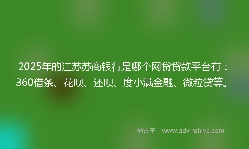 2025年的江苏苏商银行是哪个网贷贷款平台有：360借条、花呗、还呗、度小满金融、微粒贷等。