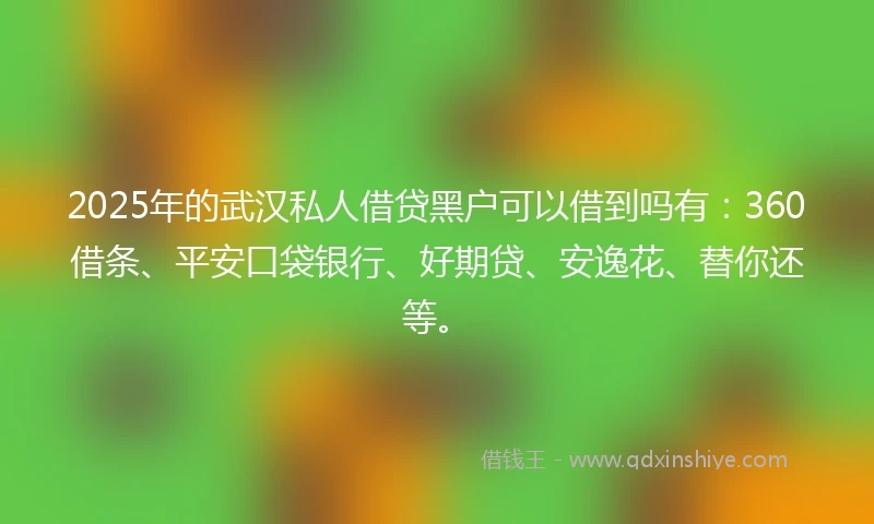 2025年的武汉私人借贷黑户可以借到吗有：360借条、平安口袋银行、好期贷、安逸花、替你还等。