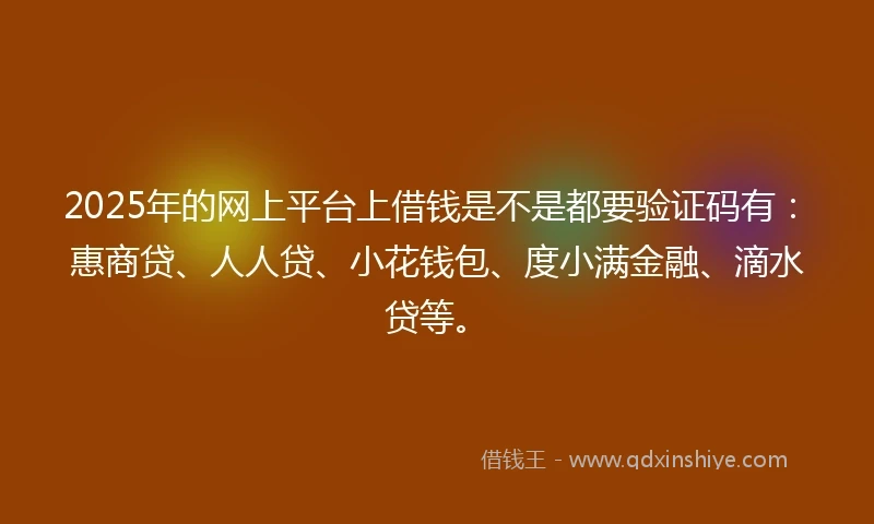 2025年的网上平台上借钱是不是都要验证码有：惠商贷、人人贷、小花钱包、度小满金融、滴水贷等。
