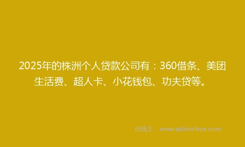 2025年的株洲个人贷款公司有：360借条、美团生活费、超人卡、小花钱包、功夫贷等。