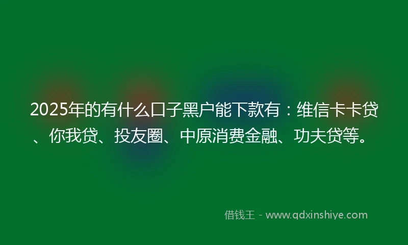 2025年的有什么口子黑户能下款有：维信卡卡贷、你我贷、投友圈、中原消费金融、功夫贷等。