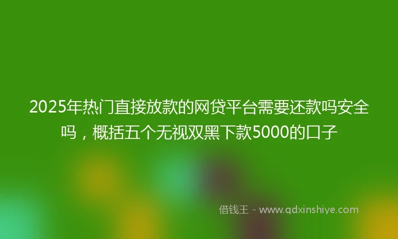 2025年热门直接放款的网贷平台需要还款吗安全吗，概括五个无视双黑下款5000的口子