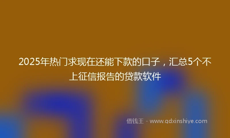 2025年热门求现在还能下款的口子，汇总5个不上征信报告的贷款软件