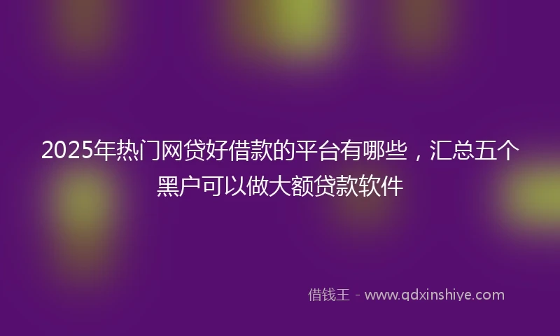 2025年热门网贷好借款的平台有哪些，汇总五个黑户可以做大额贷款软件