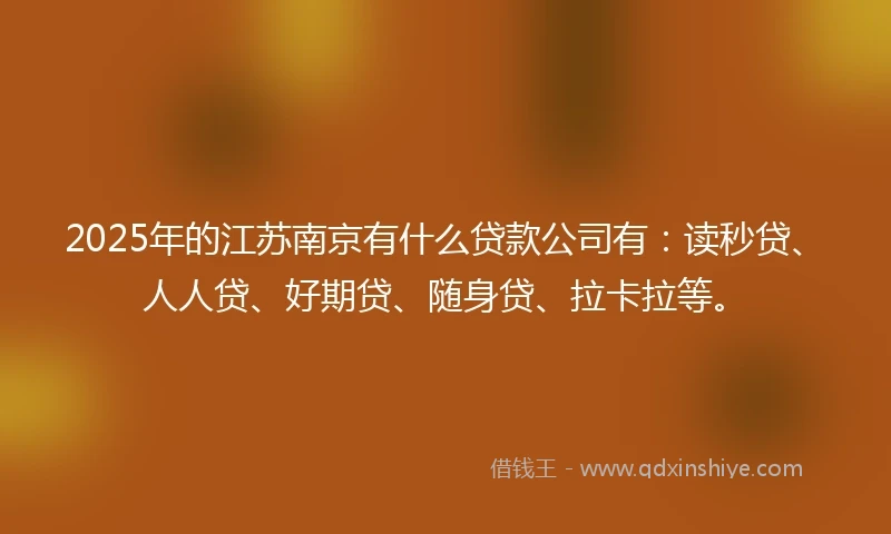 2025年的江苏南京有什么贷款公司有：读秒贷、人人贷、好期贷、随身贷、拉卡拉等。