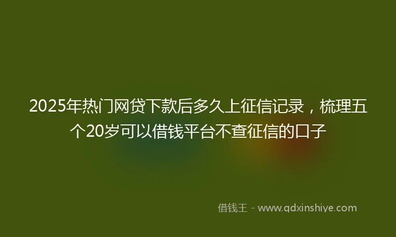 2025年热门网贷下款后多久上征信记录，梳理五个20岁可以借钱平台不查征信的口子