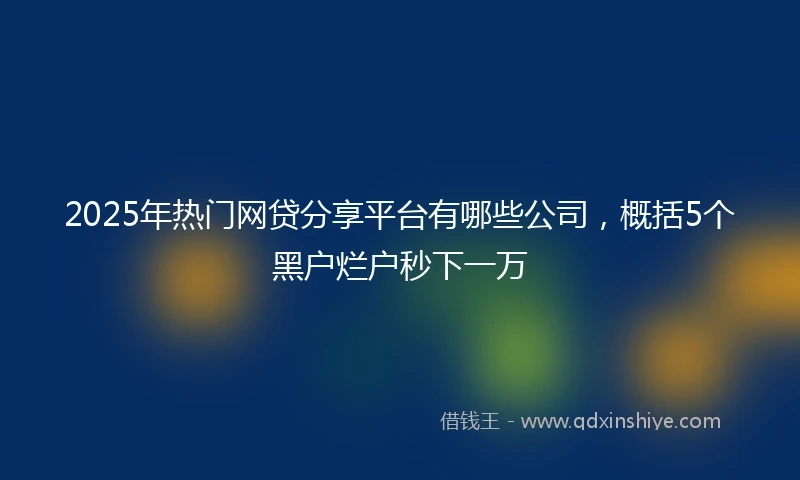 2025年热门网贷分享平台有哪些公司，概括5个黑户烂户秒下一万