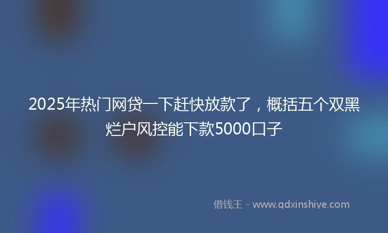 2025年热门网贷一下赶快放款了,概括五个双黑烂户风控能下款5000口子