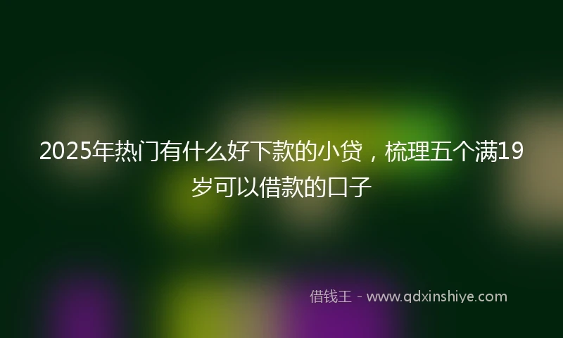 2025年热门有什么好下款的小贷，梳理五个满19岁可以借款的口子
