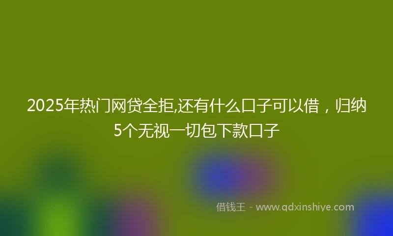 2025年热门网贷全拒,还有什么口子可以借，归纳5个无视一切包下款口子