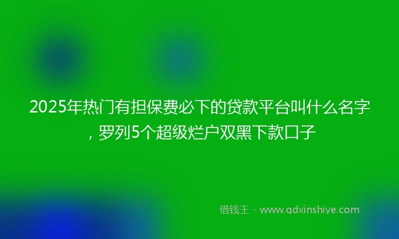2025年热门有担保费必下的贷款平台叫什么名字，罗列5个超级烂户双黑下款口子