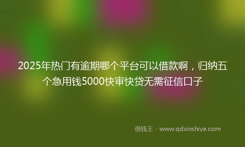 2025年热门有逾期哪个平台可以借款啊，归纳五个急用钱5000快审快贷无需征信口子