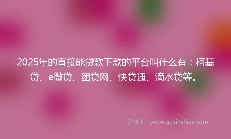 2025年的直接能贷款下款的平台叫什么有：柯基贷、e微贷、团贷网、快贷通、滴水贷等。