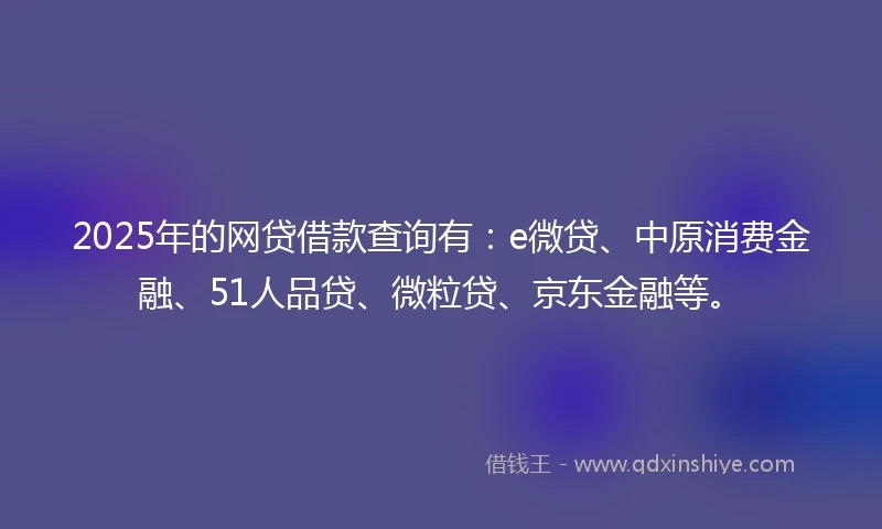 2025年的网贷借款查询有：e微贷、中原消费金融、51人品贷、微粒贷、京东金融等。