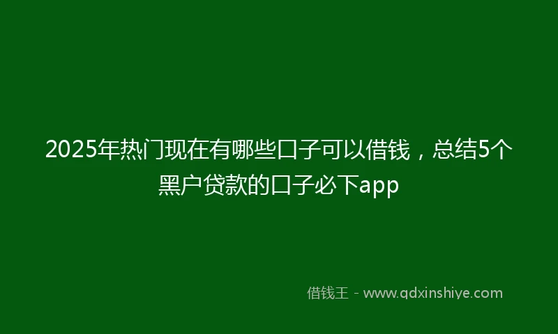 2025年热门现在有哪些口子可以借钱，总结5个黑户贷款的口子必下app