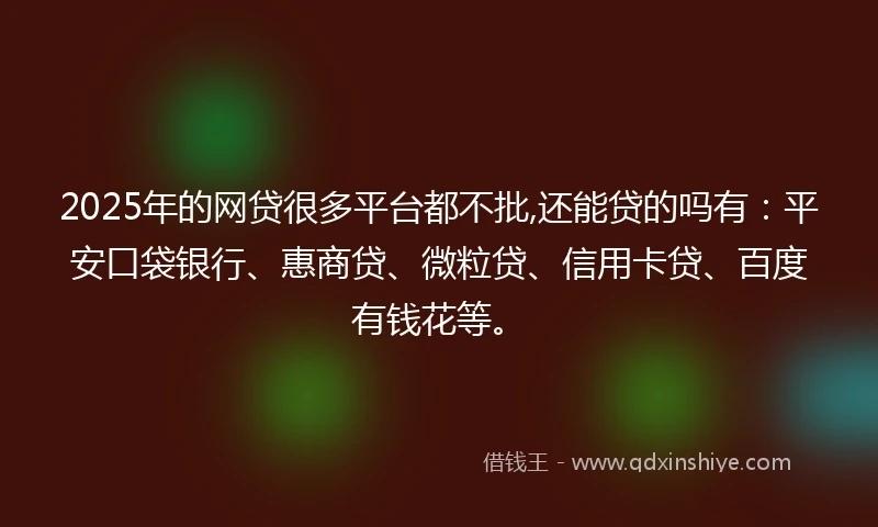 2025年的网贷很多平台都不批,还能贷的吗有：平安口袋银行、惠商贷、微粒贷、信用卡贷、百度有钱花等。