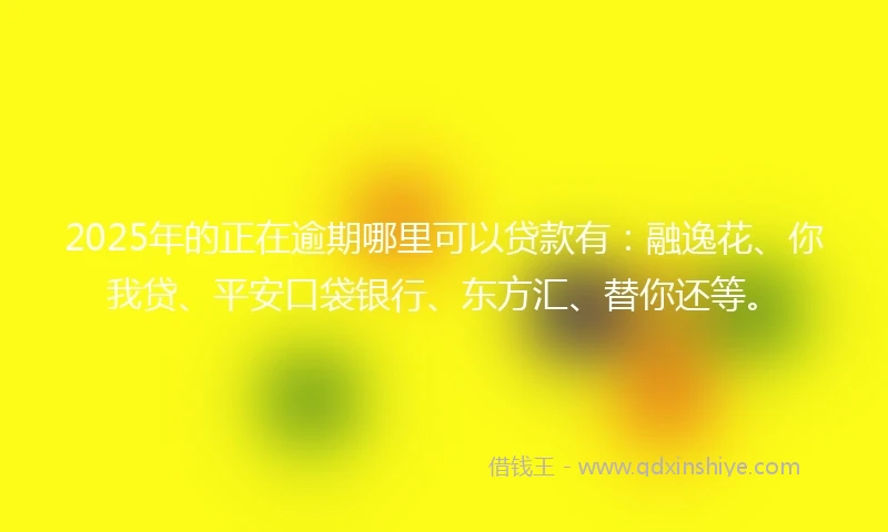 2025年的正在逾期哪里可以贷款有：融逸花、你我贷、平安口袋银行、东方汇、替你还等。