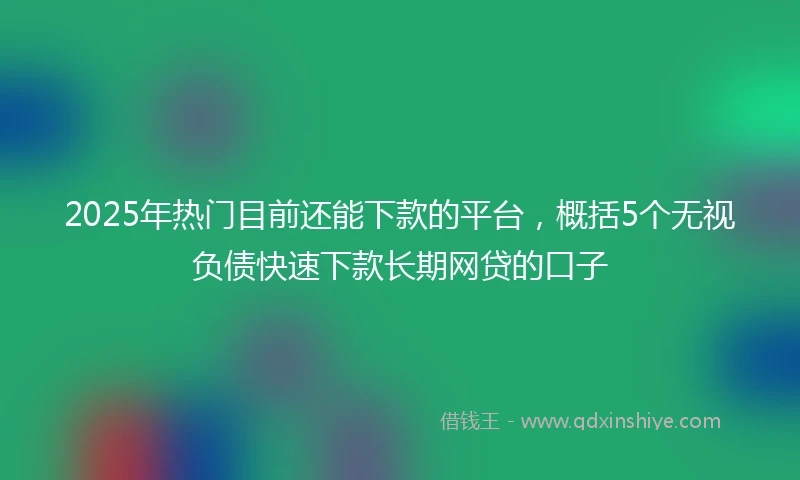 2025年热门目前还能下款的平台，概括5个无视负债快速下款长期网贷的口子