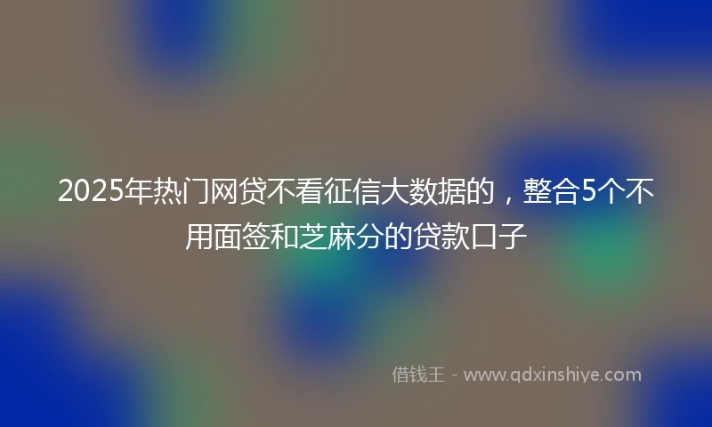2025年热门网贷不看征信大数据的，整合5个不用面签和芝麻分的贷款口子