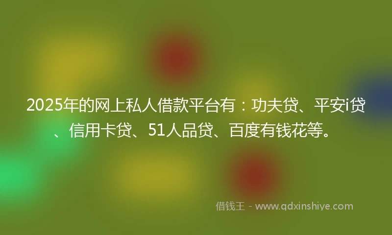 2025年的网上私人借款平台有：功夫贷、平安i贷、信用卡贷、51人品贷、百度有钱花等。
