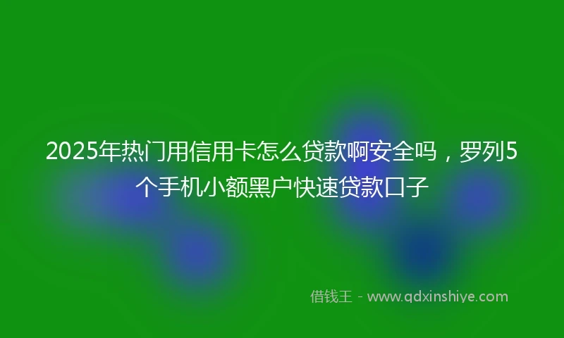 2025年热门用信用卡怎么贷款啊安全吗，罗列5个手机小额黑户快速贷款口子