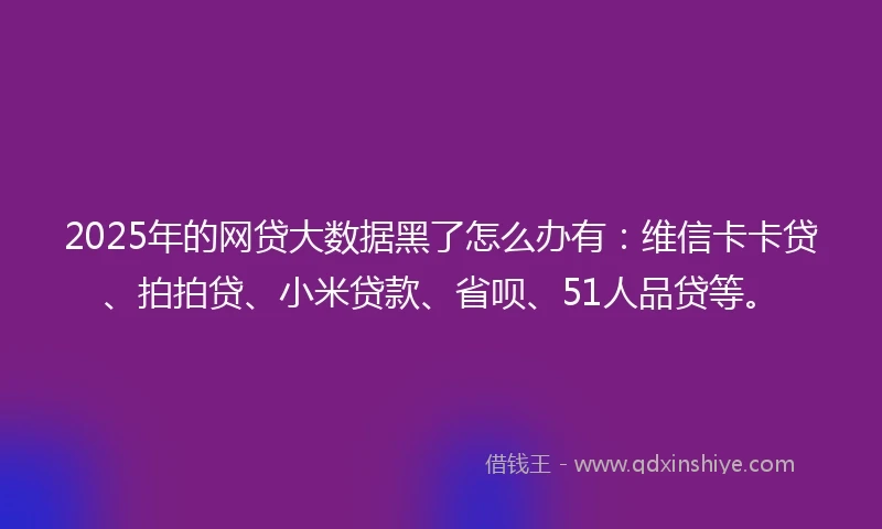 2025年的网贷大数据黑了怎么办有：维信卡卡贷、拍拍贷、小米贷款、省呗、51人品贷等。