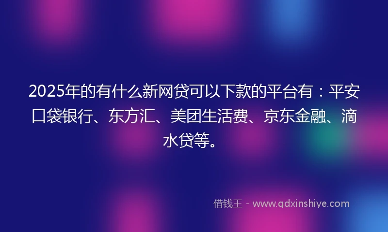 2025年的有什么新网贷可以下款的平台有：平安口袋银行、东方汇、美团生活费、京东金融、滴水贷等。