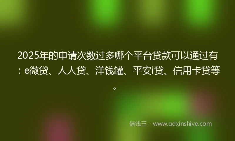 2025年的申请次数过多哪个平台贷款可以通过有：e微贷、人人贷、洋钱罐、平安i贷、信用卡贷等。