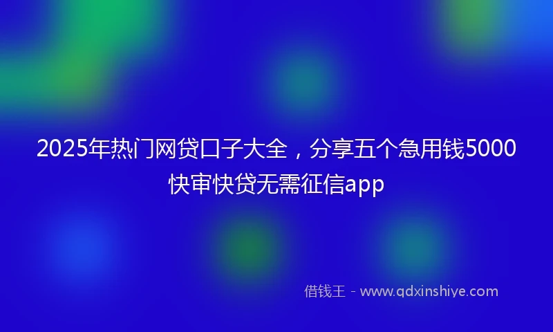 2025年热门网贷口子大全，分享五个急用钱5000快审快贷无需征信app