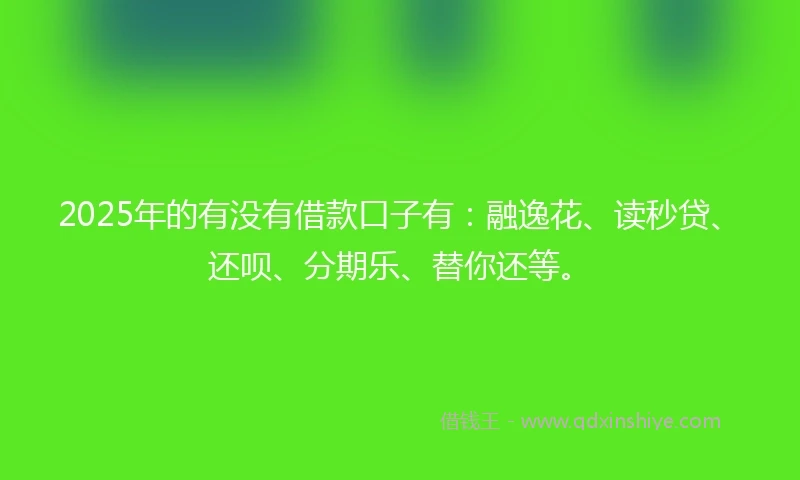 2025年的有没有借款口子有：融逸花、读秒贷、还呗、分期乐、替你还等。