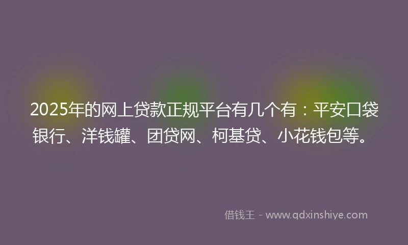 2025年的网上贷款正规平台有几个有：平安口袋银行、洋钱罐、团贷网、柯基贷、小花钱包等。