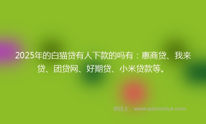 2025年的白猫贷有人下款的吗有：惠商贷、我来贷、团贷网、好期贷、小米贷款等。