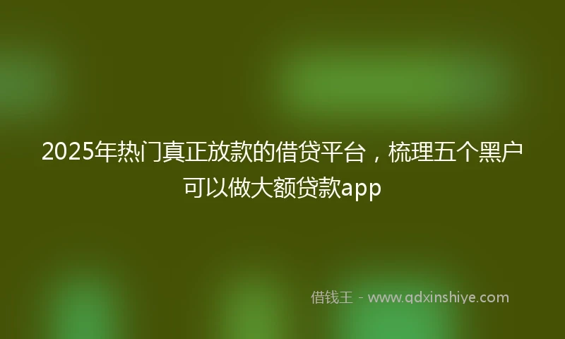 2025年热门真正放款的借贷平台，梳理五个黑户可以做大额贷款app