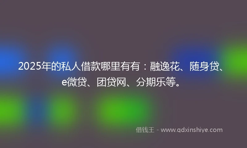 2025年的私人借款哪里有有：融逸花、随身贷、e微贷、团贷网、分期乐等。